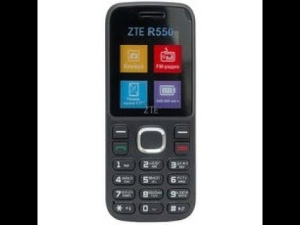 ZTE R220