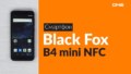 Black Fox B4 mini