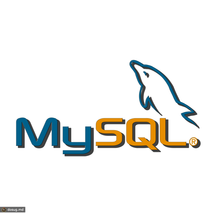 Import and export mySQL databases